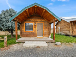 Mineral Springs cabin