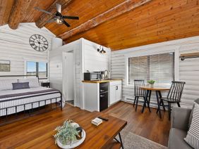 Mineral Springs: living area kitchen
