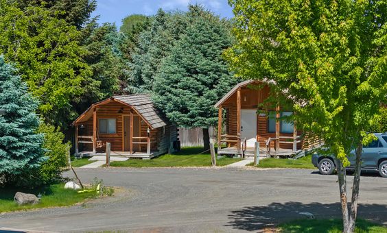 Two log cabins among evergreen trees