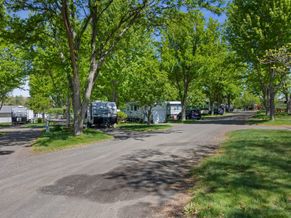 Tree-lined lane between RV sites