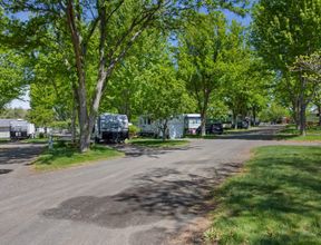 Tree-lined lane between RV sites