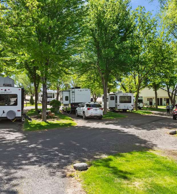 RV sites with picnic tables under a canopy of mature trees