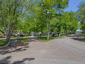 An RV parked at a grassy, shaded site